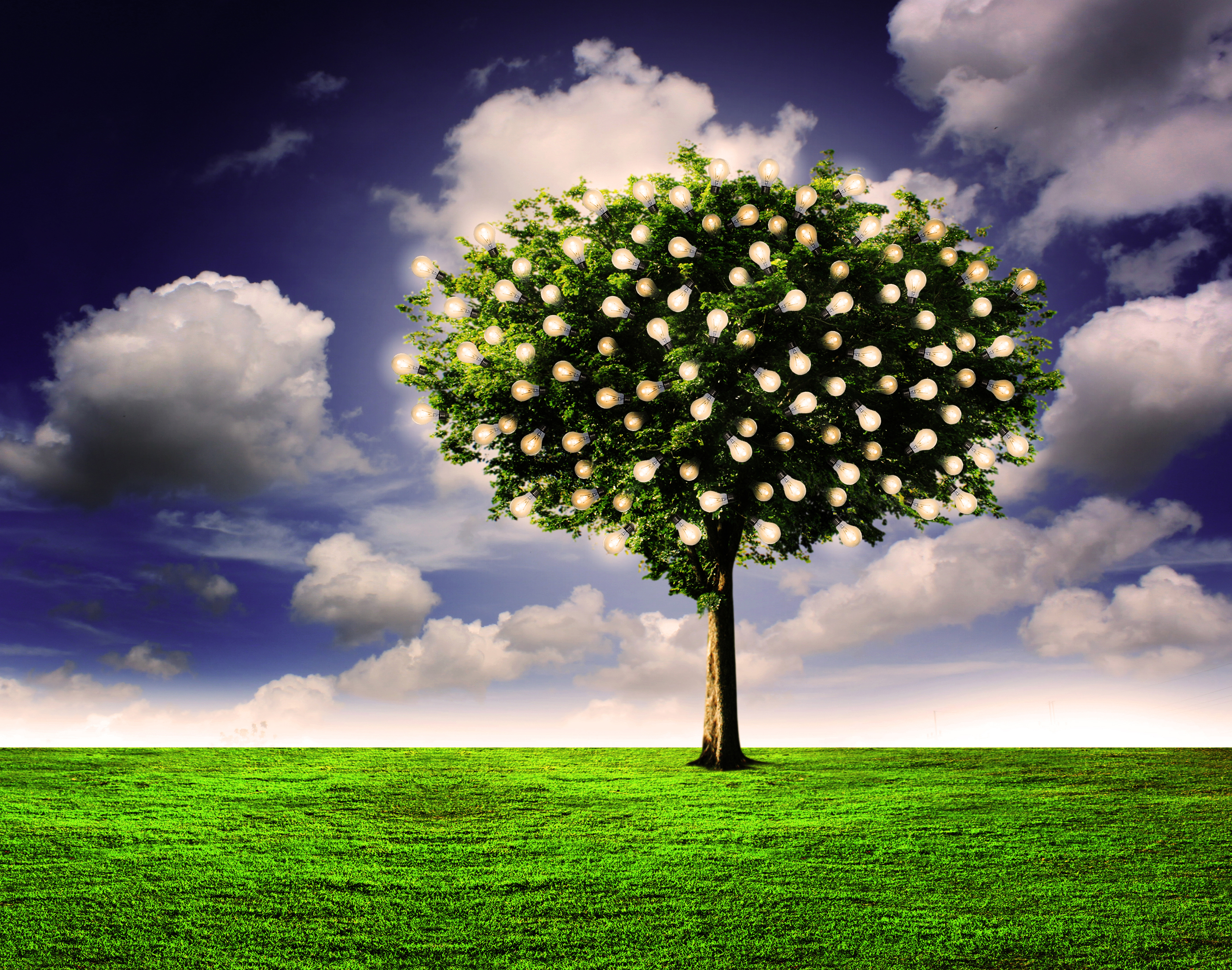 A tree with glowing light bulbs growing like fruit among its green leaves stands alone on a plain of grass under a cloudy deep-blue sky.