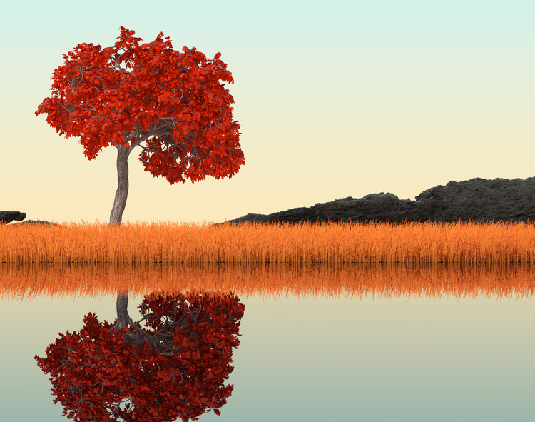 Root Autumn