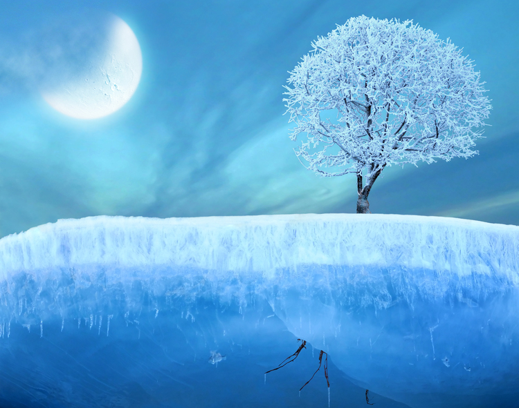 Root Winter