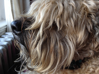 Ella's pensive