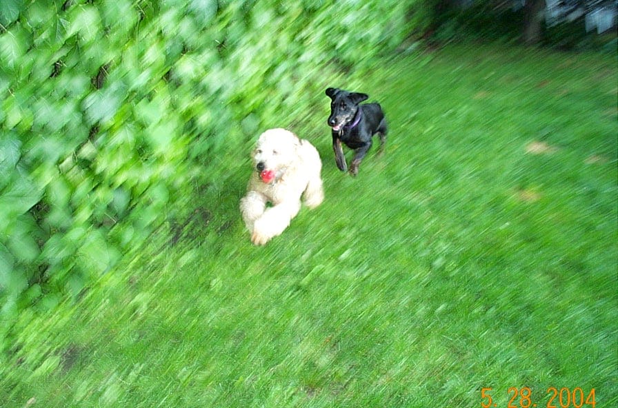 Adventures of the Brown Comet and Nyla