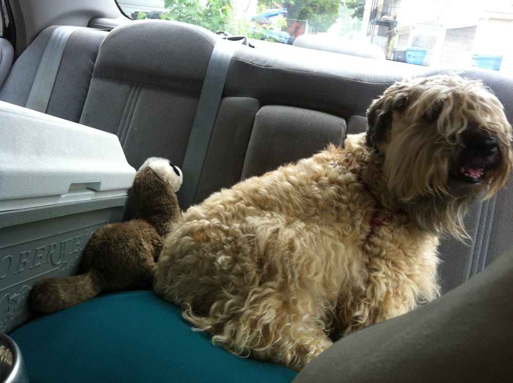 800 Miles Behind Us, One Year Ago Tonight