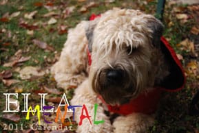 It's "Ella-Mental," Watson!