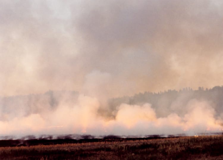 My Prescient and Fiery Memoir Cover Shoot