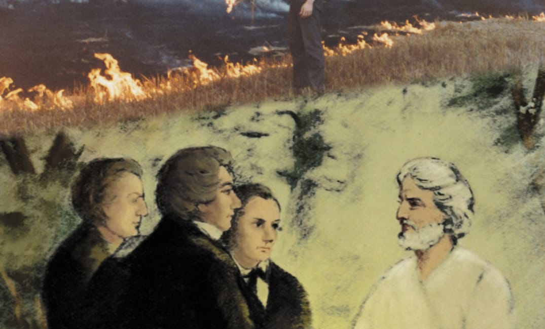 The Accidental Terrorist by William Shunn
