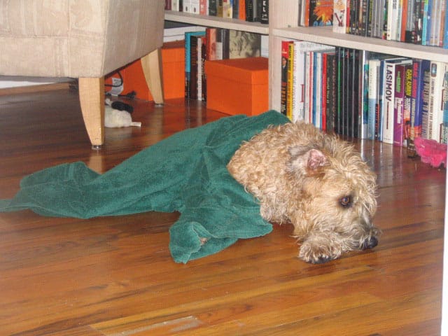 The unbearable ennui of bathtime