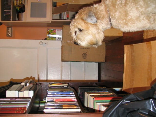 Someone's been pawing through my bookshelf