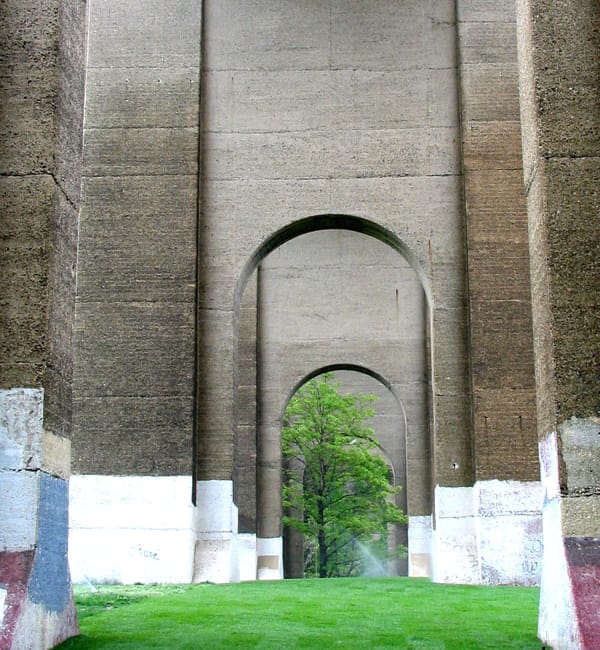 The door into summer