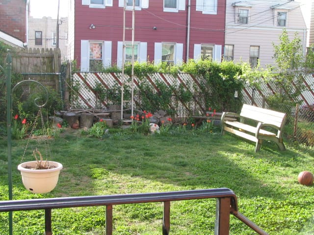 Fuzz Amongst the Tulips