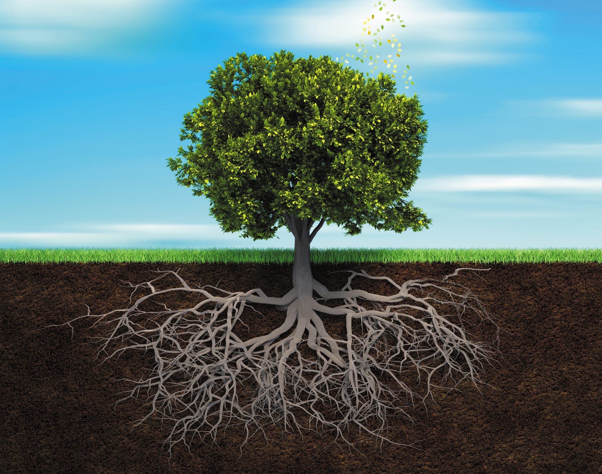 This Year a Serial Takes Root