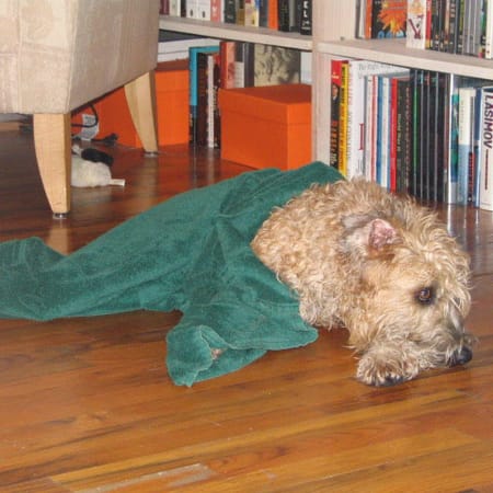 Image of: The unbearable ennui of bathtime