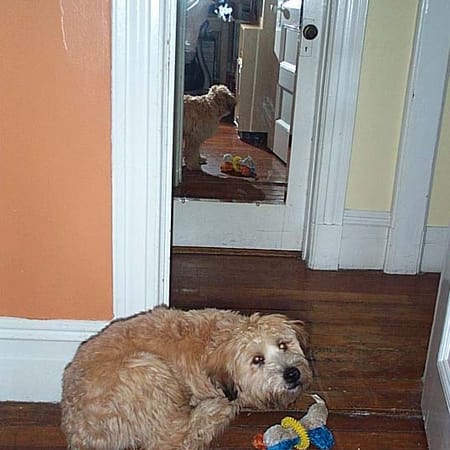 Image of: Twelve years of Ella