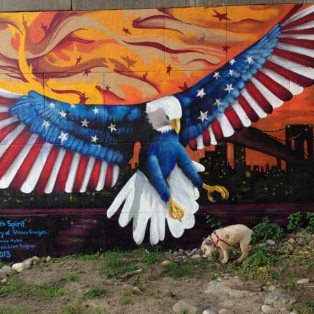 Image of: Memo to my socialist dog