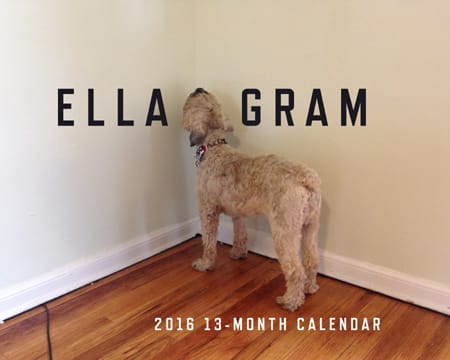 Image of: Get your 2016 Ella calendar now!