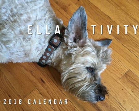 Image of: Get your 2018 Ella calendars now!