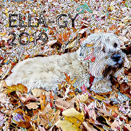 Image of: Ella's 2019 memorial calendar is available now